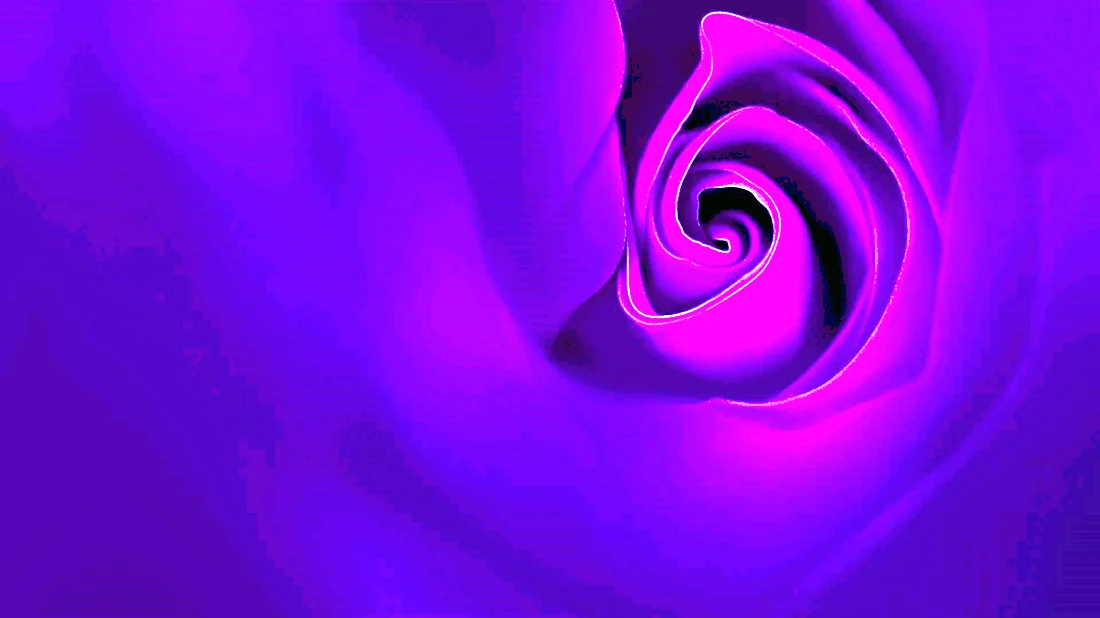 Фиолетовые обои