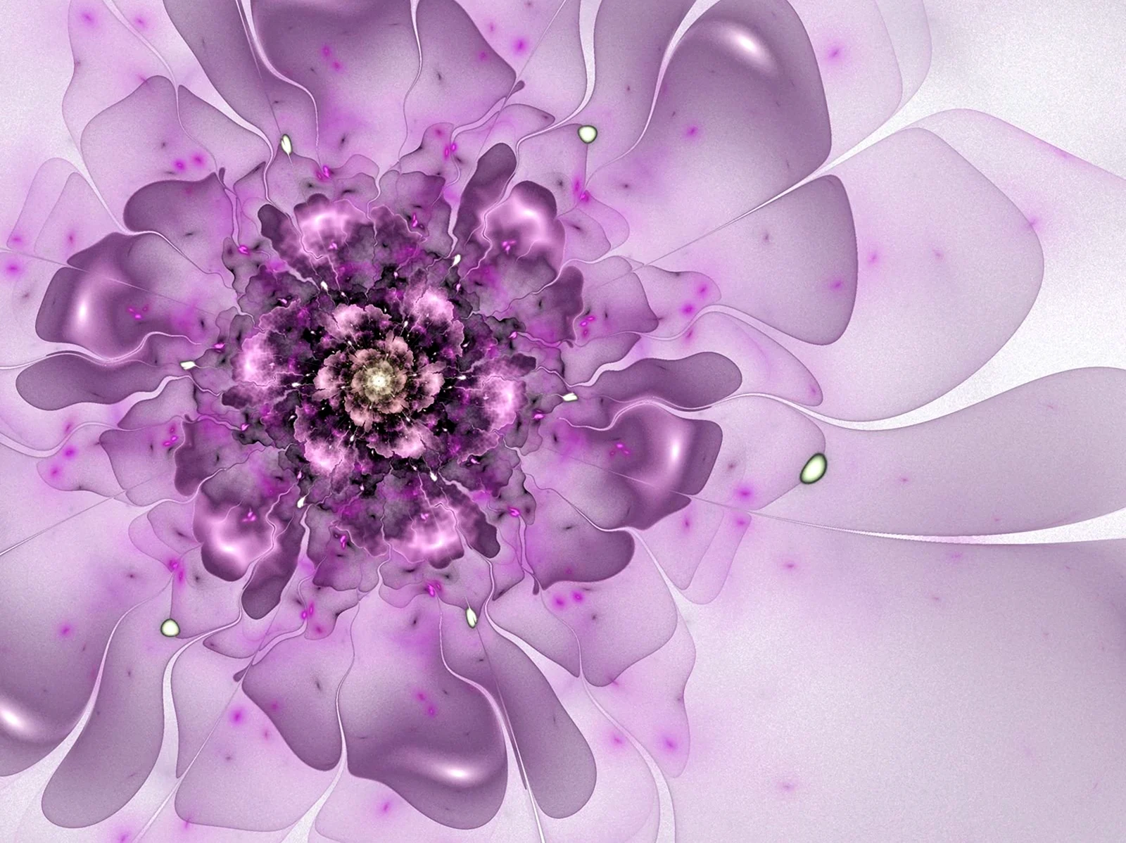Фиолетовые цветы абстракция