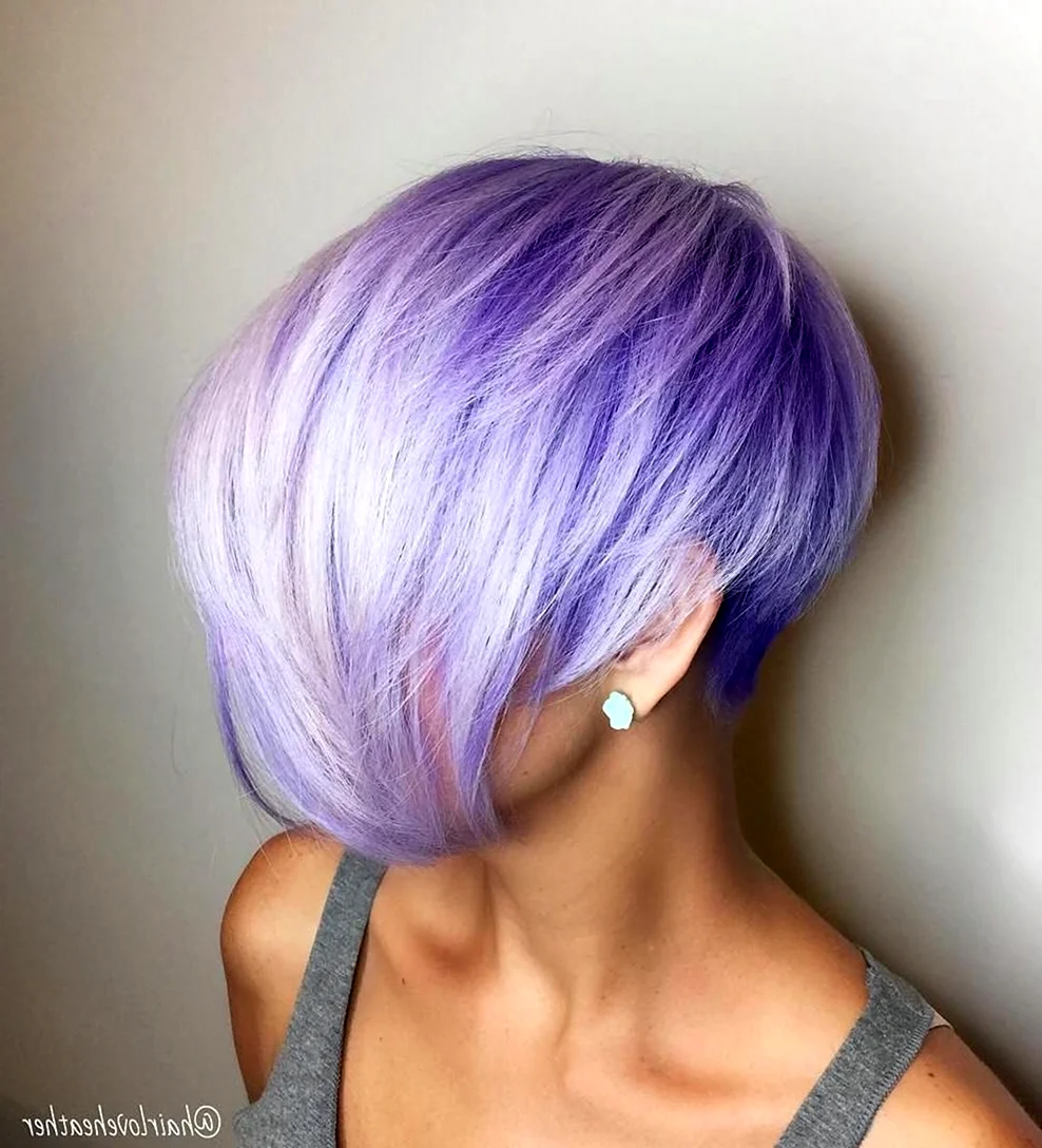 Фиолетовые волосы Пикси Боб