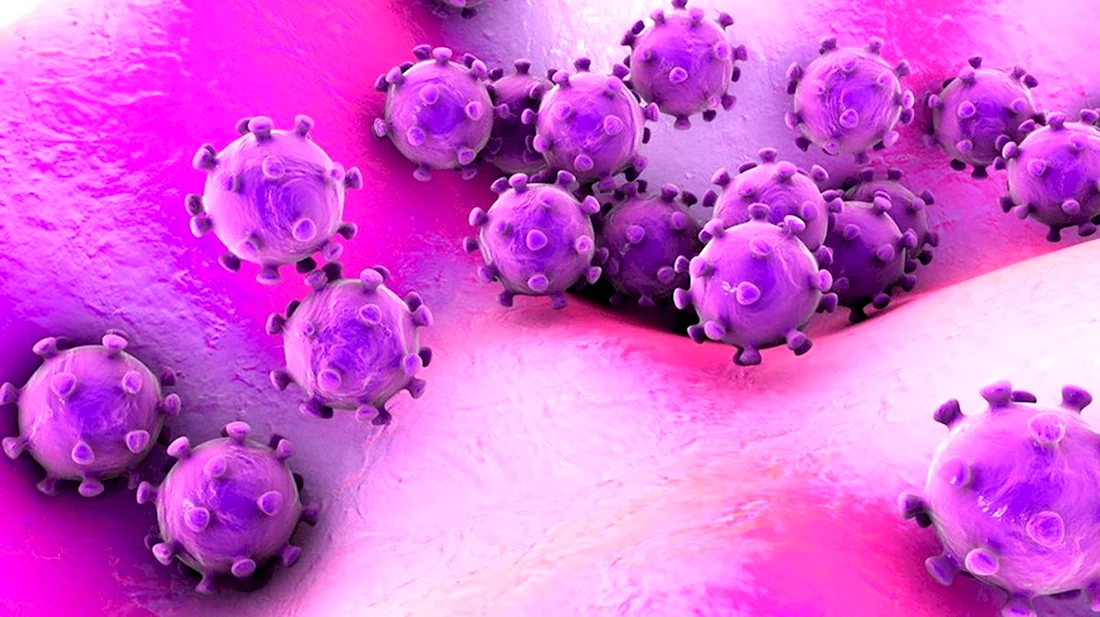 Фиолетовый вирус