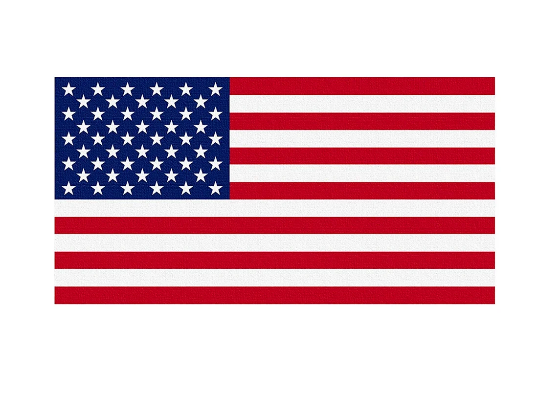 Флаг Америки вектор