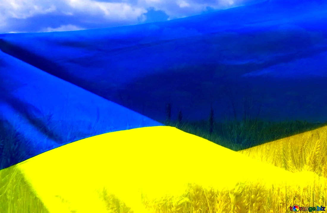 Флаг Украины 1920