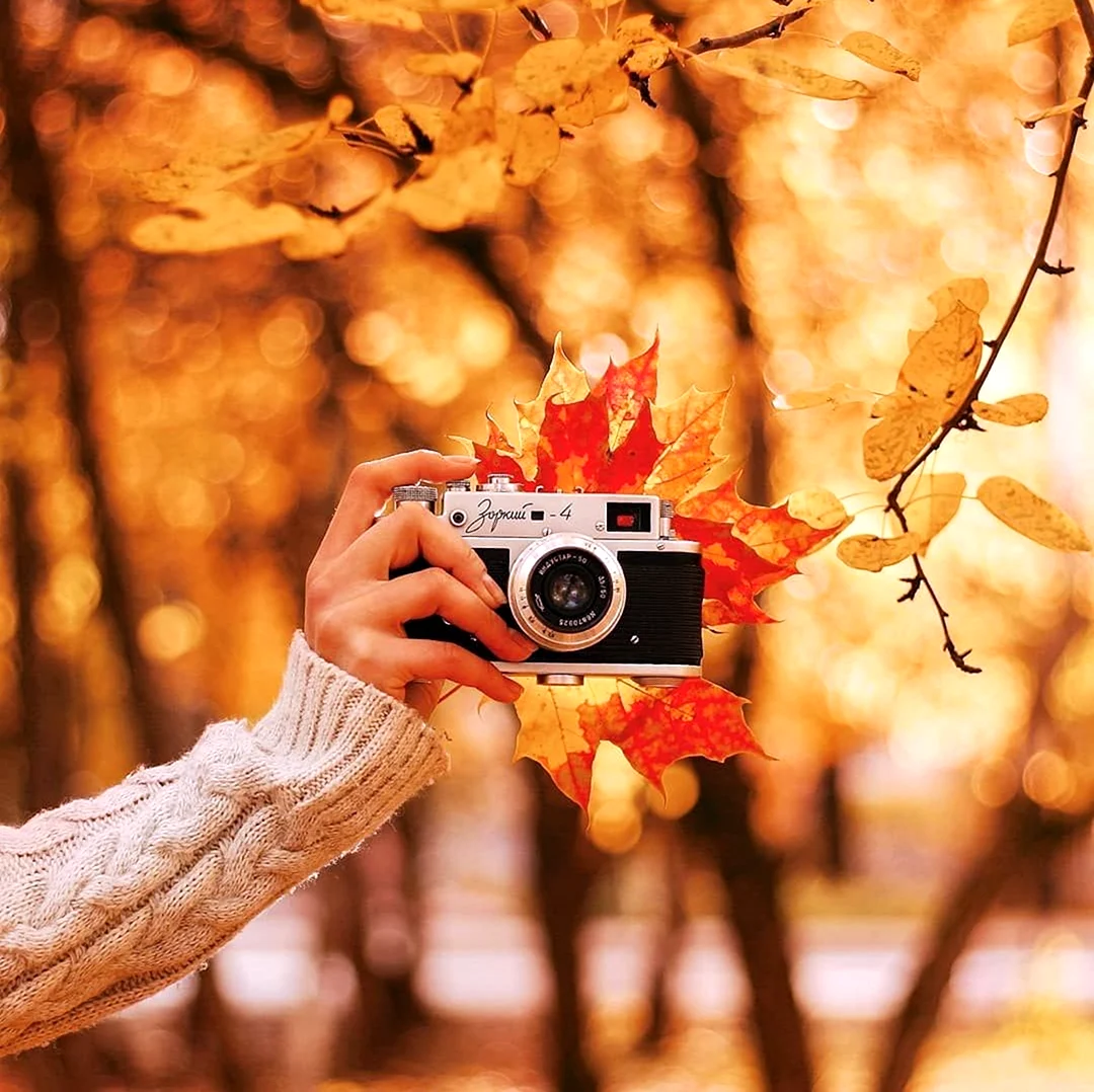 Фотоаппарат осень