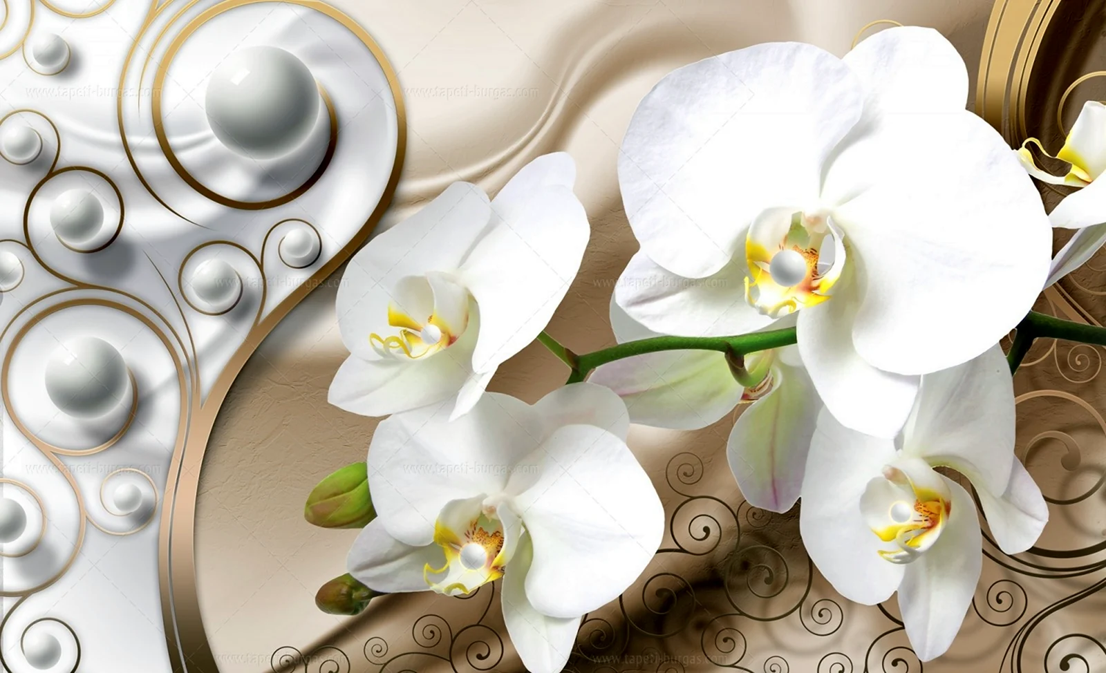 Фотообои 3d орхидеи