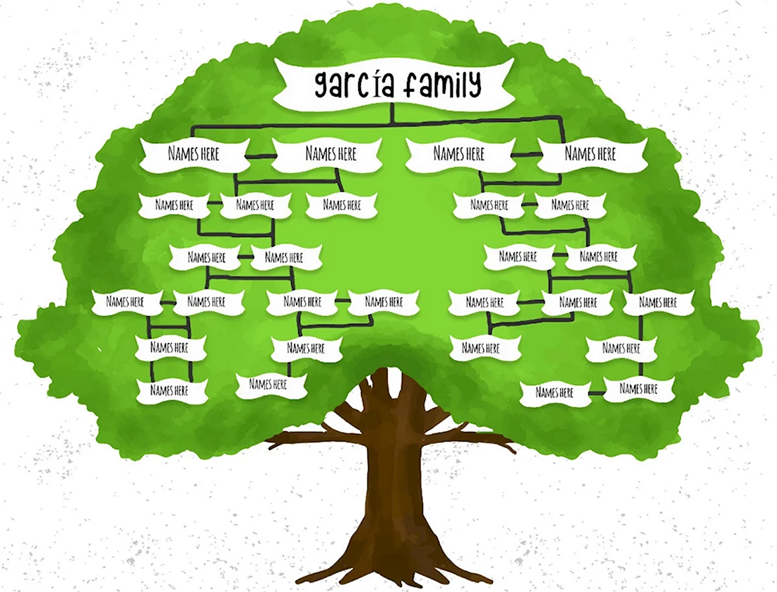 Генеалогическое дерево на французском языке