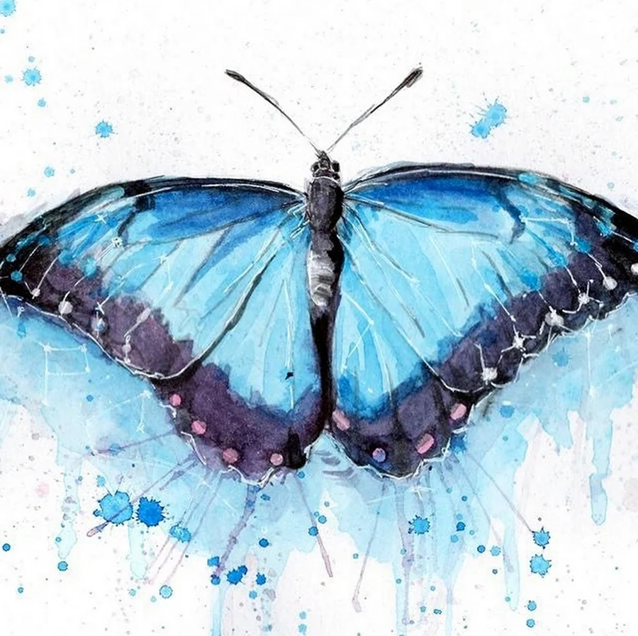 Голубая бабочка акварель