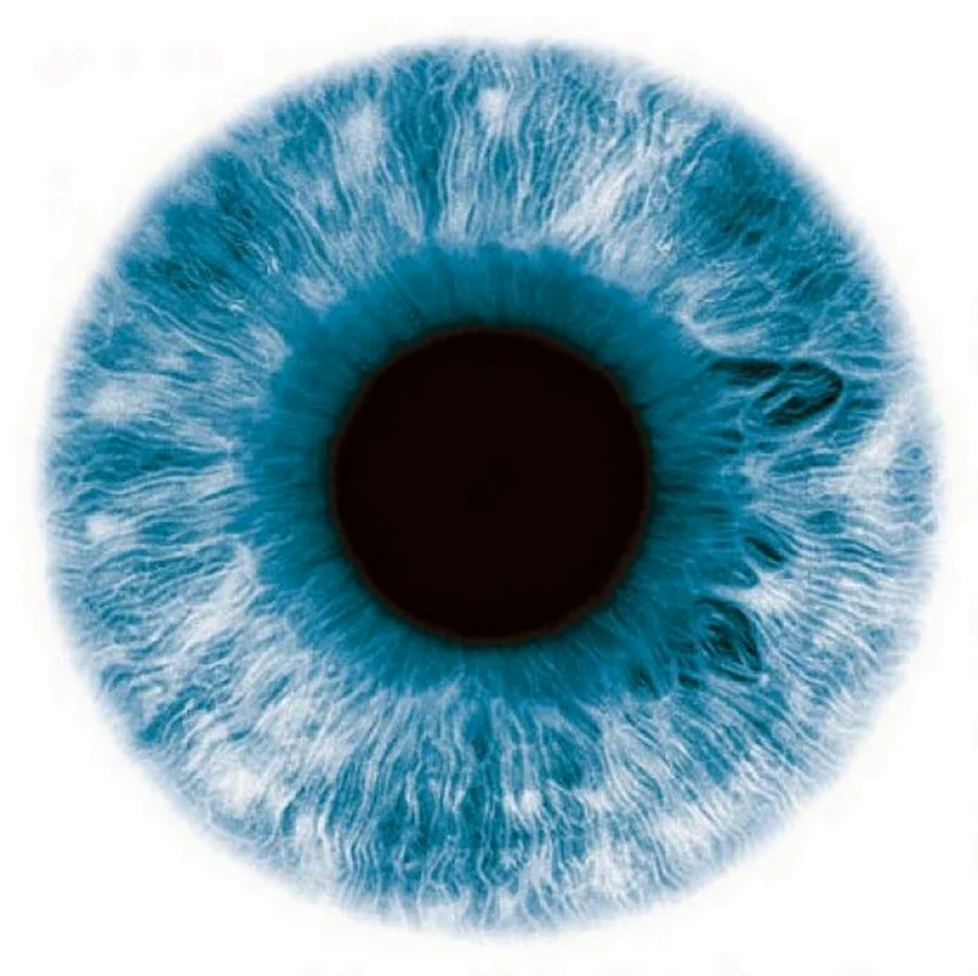 Голубая радужка глаза