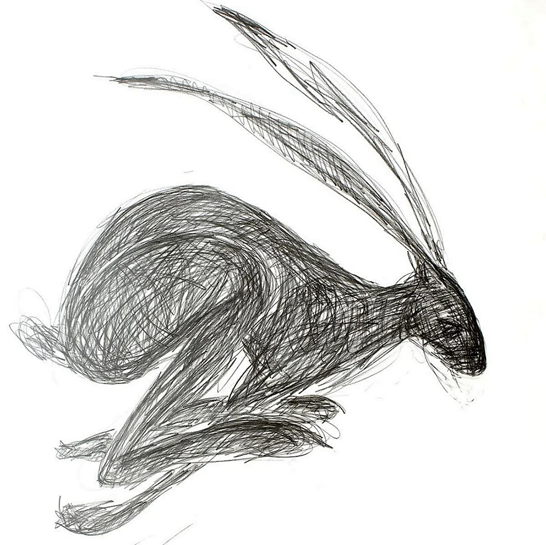 Графический кролик