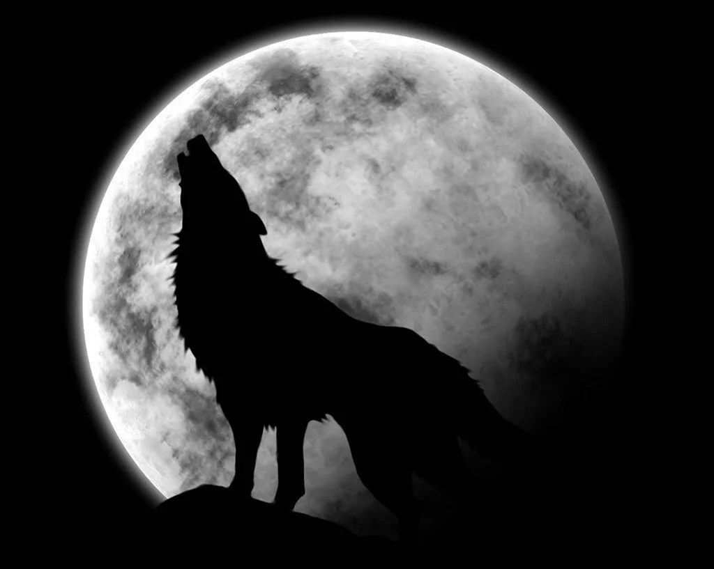 Ичкерия волк воющий на луну