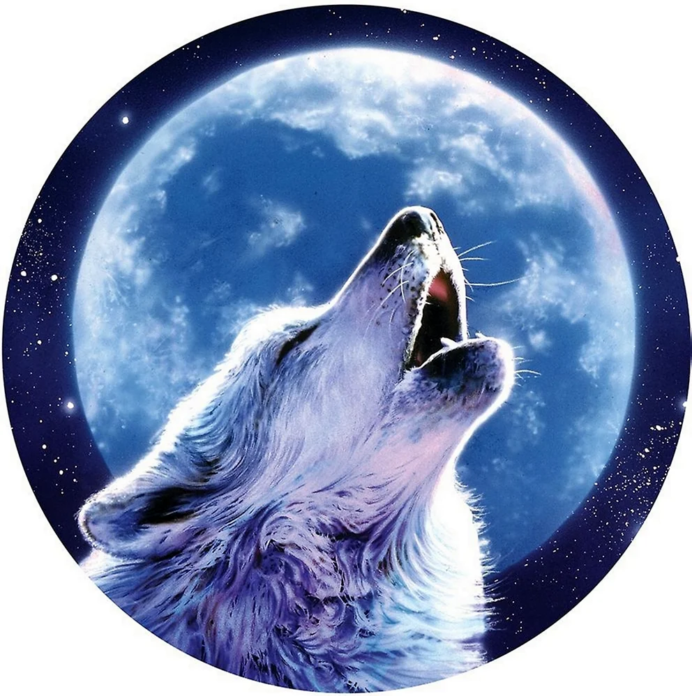 Изображение волка воющего на луну