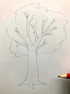 Как нарисовать крону дерева