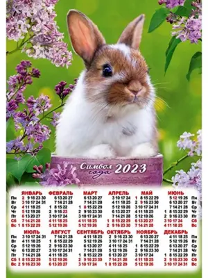 Календарь на 23 год с кроликом