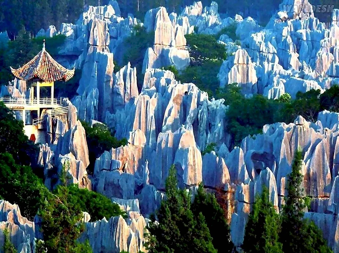 Каменный лес Шилинь Китай