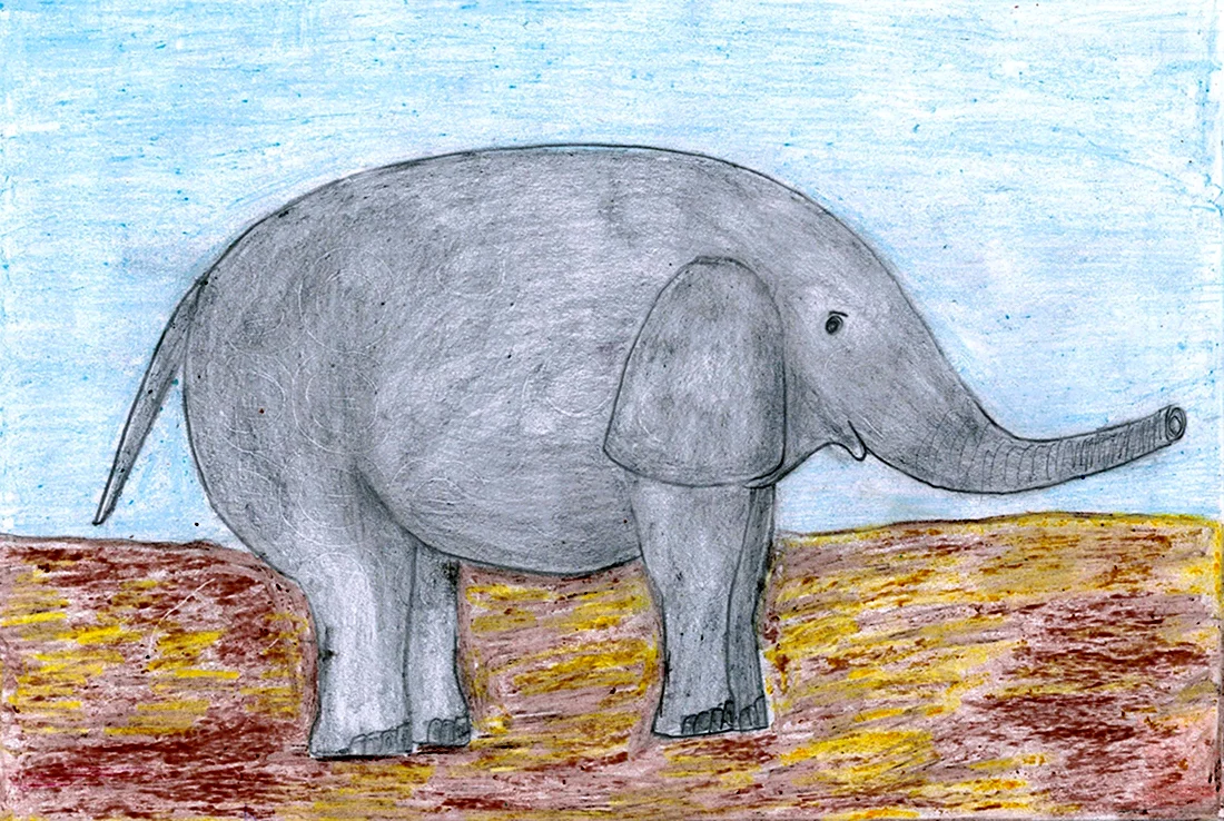 Камиль сен-Санс слон