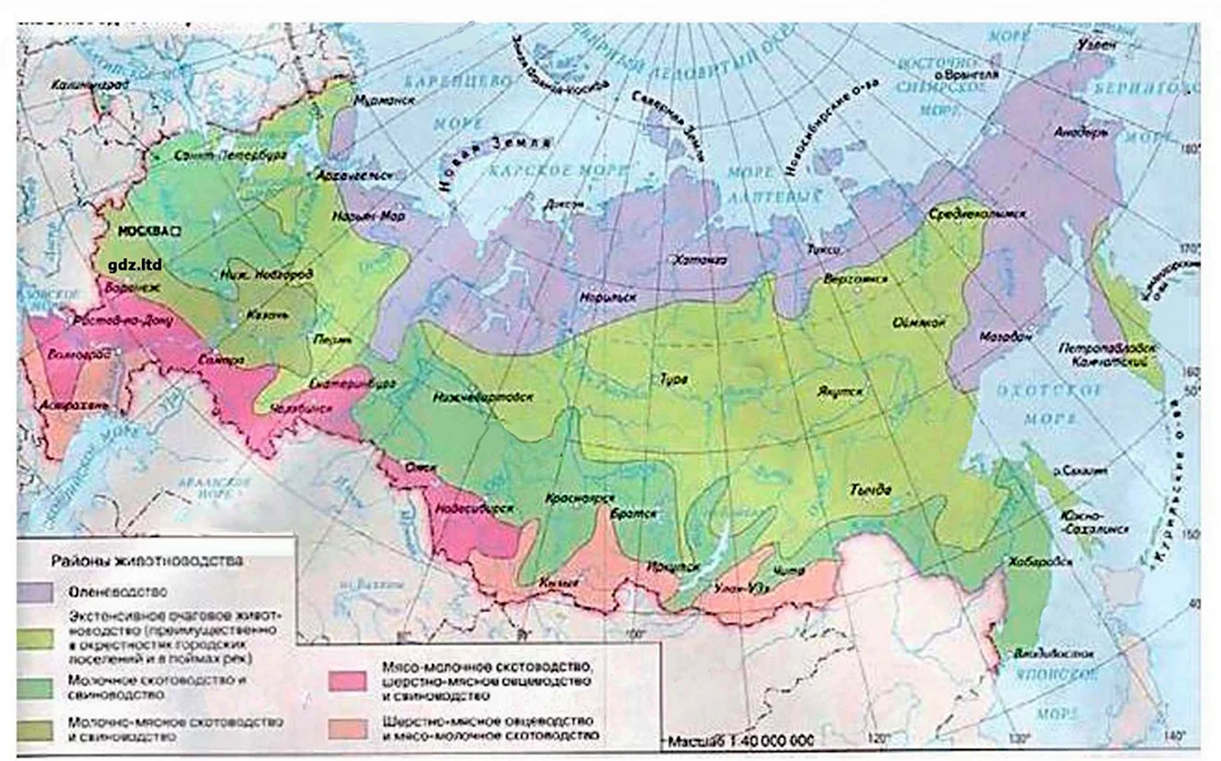 Карта животноводства России