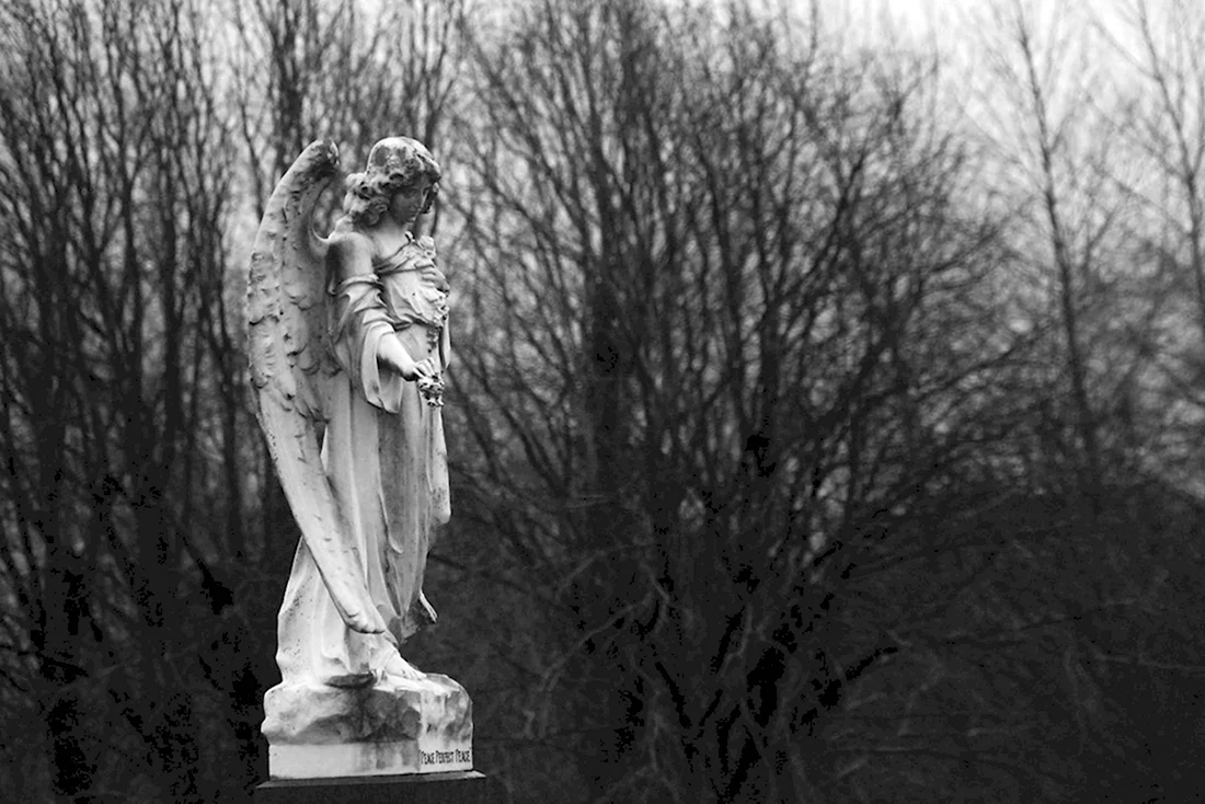 Кладбищенские статуи ангелов Эстетика