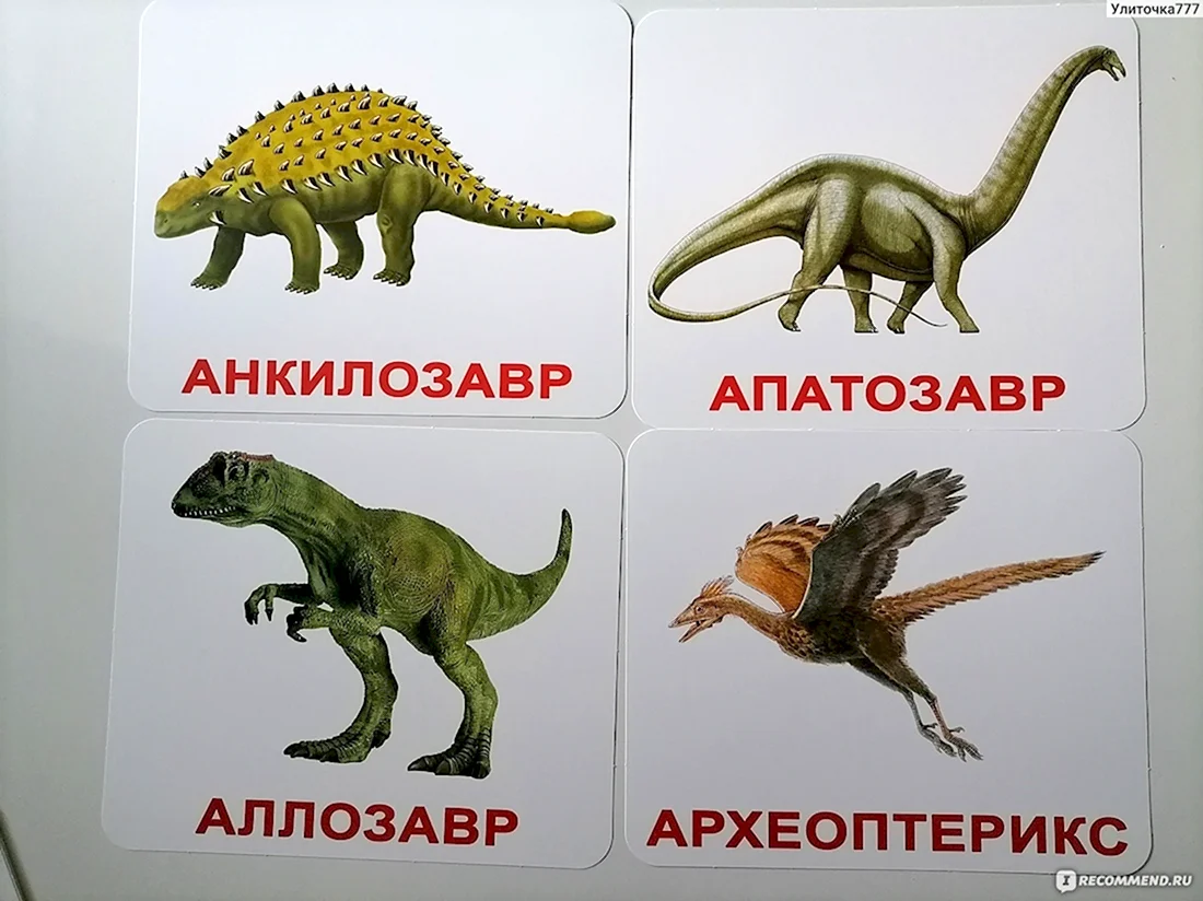 Комплект карточек динозавры