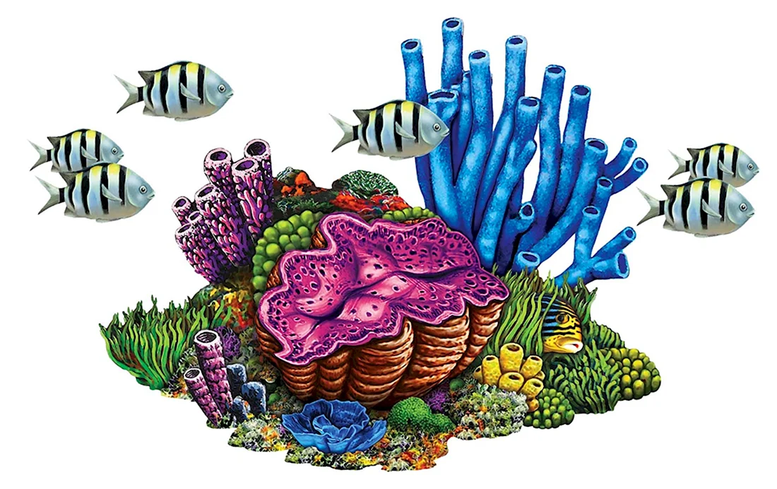 Кораллы для дошкольников
