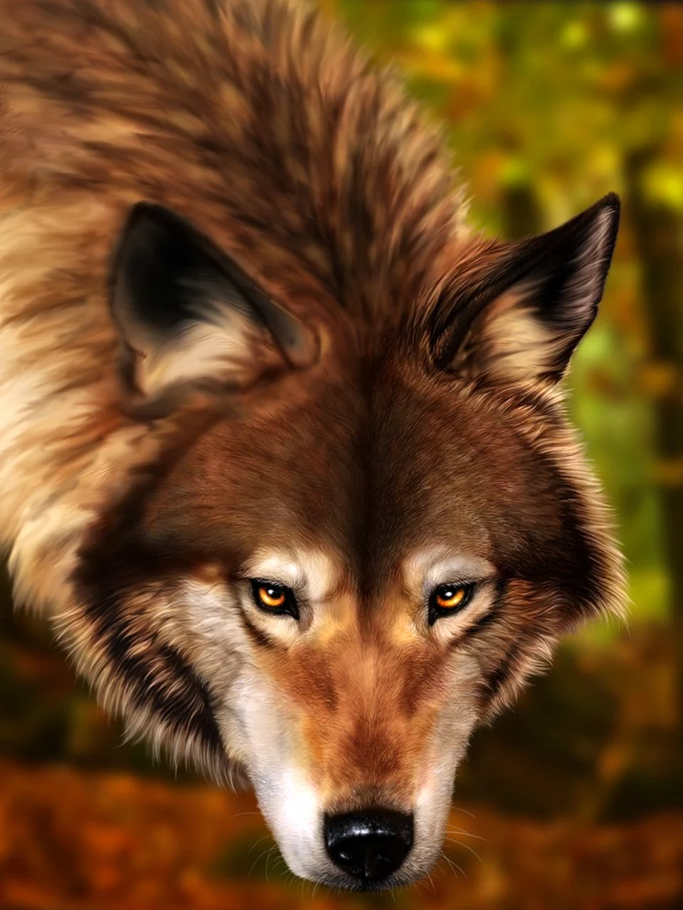Коричневый волк