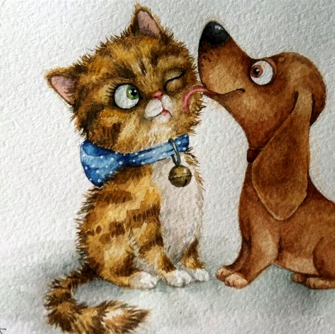 Кошка и собака рисунок
