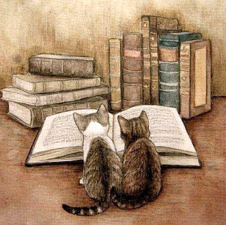 Кот на книжной полке