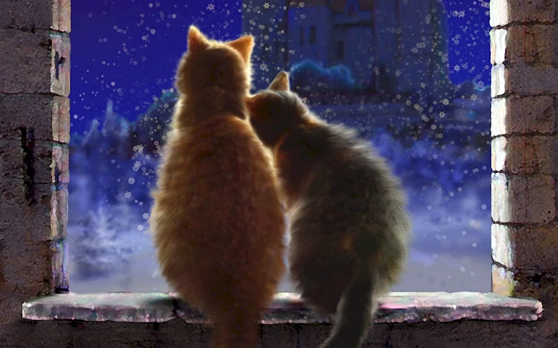 Кот на окне зима