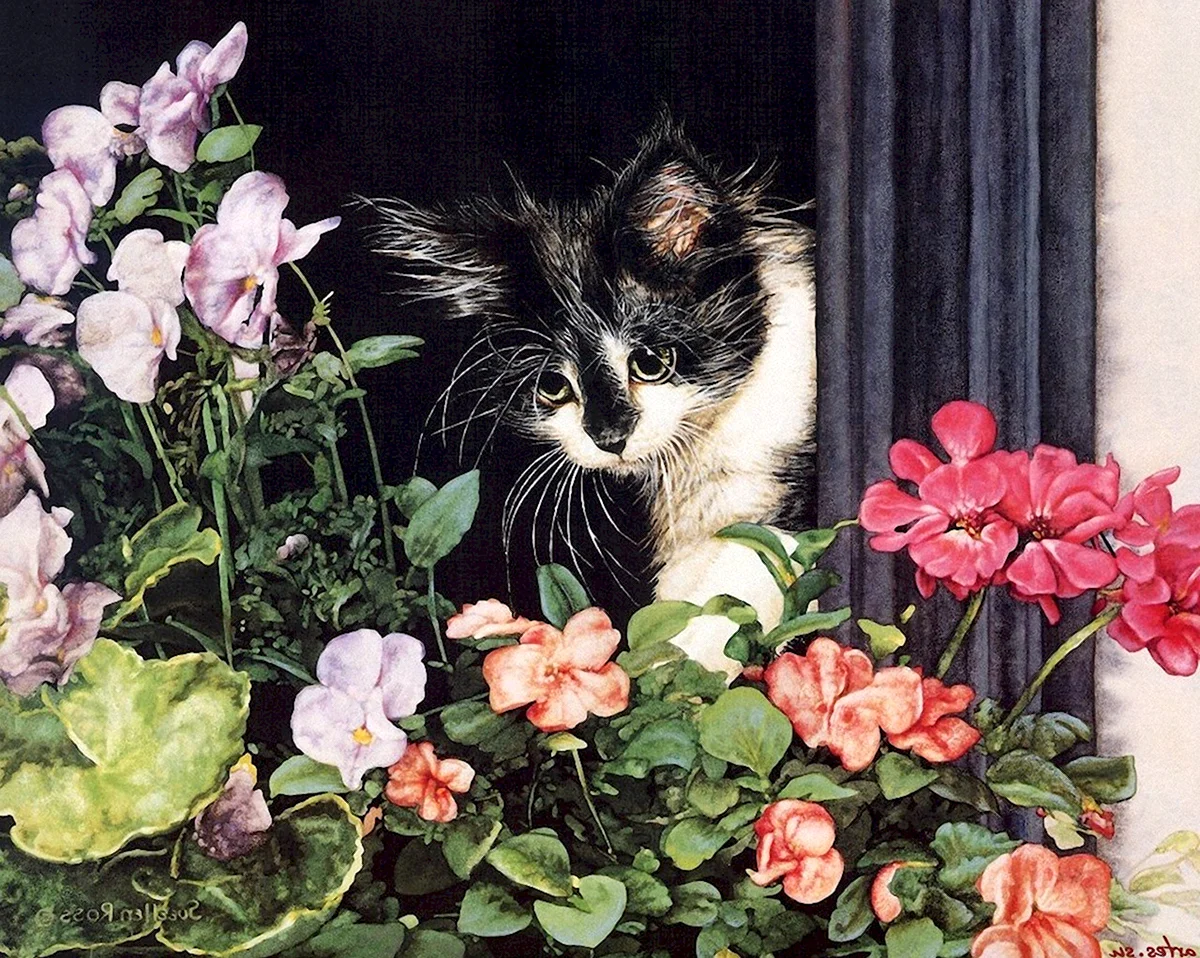 Кот в цветах картина