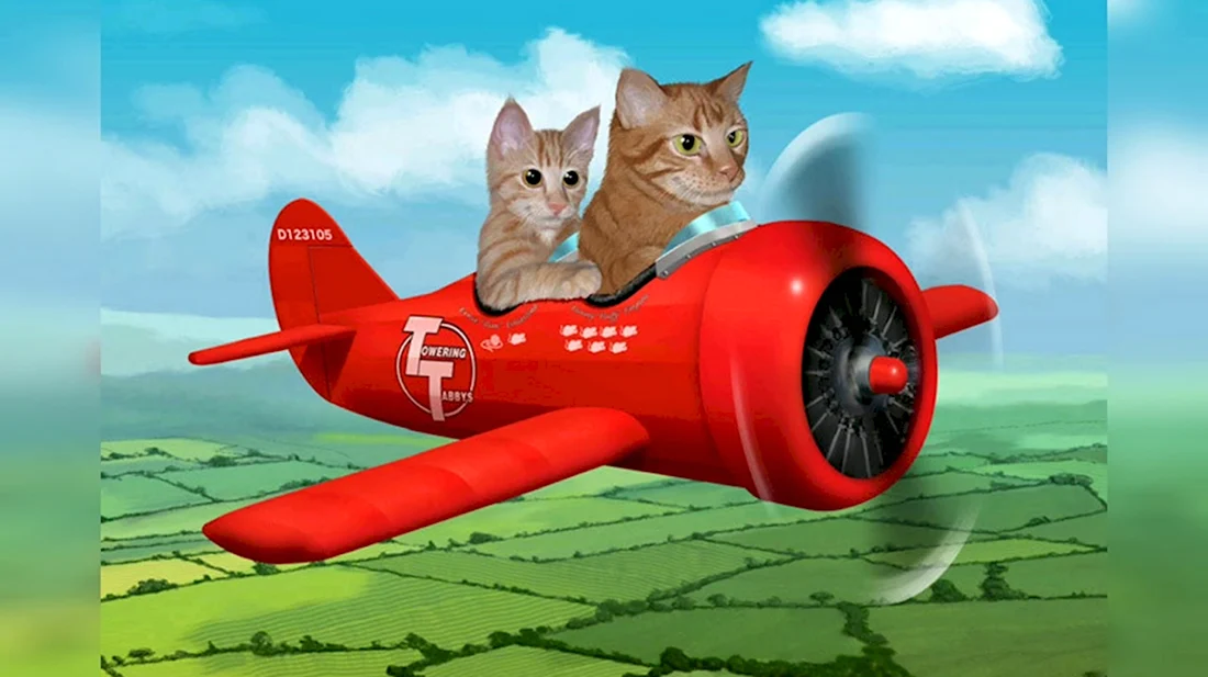 Коты и Авиация
