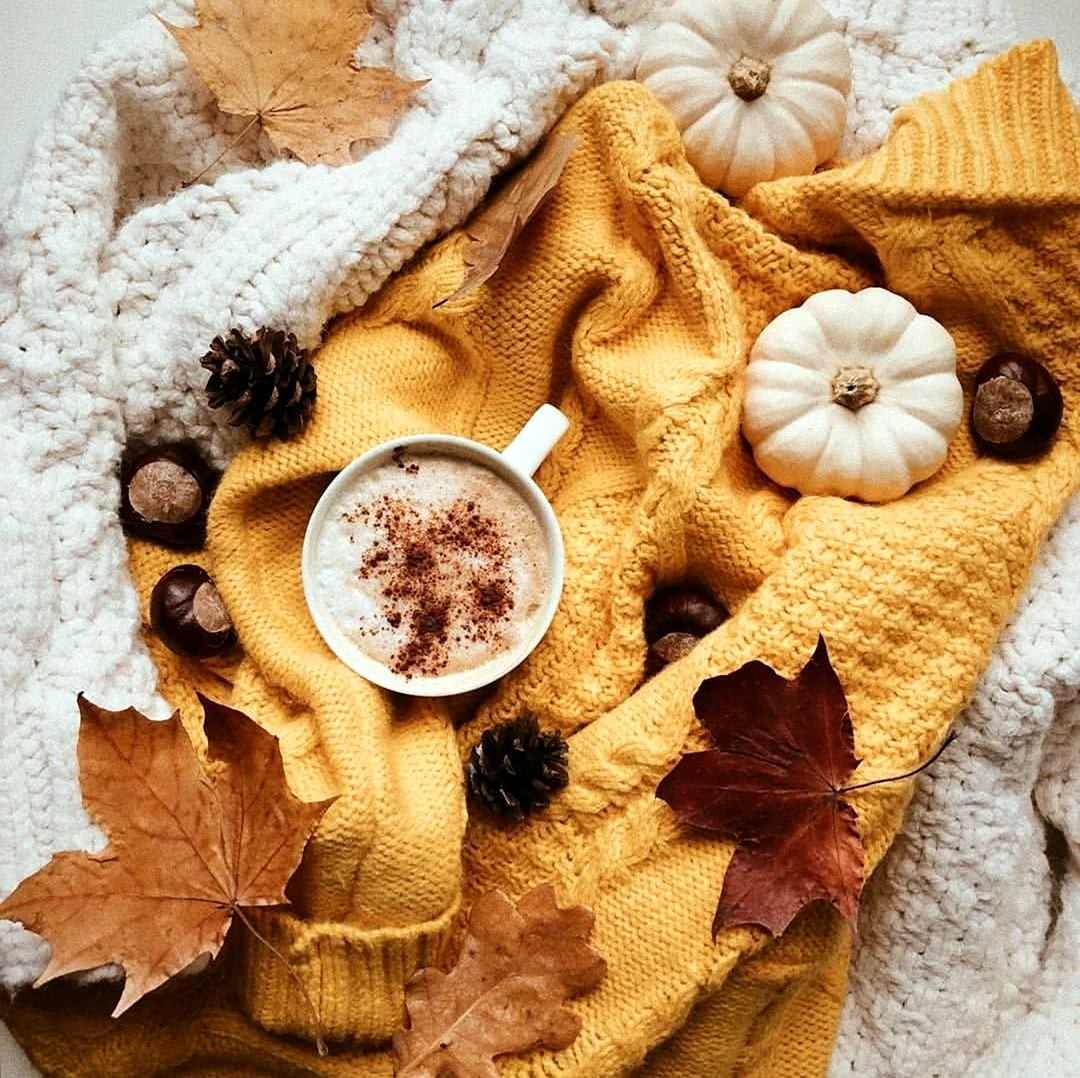Красивая уютная осень