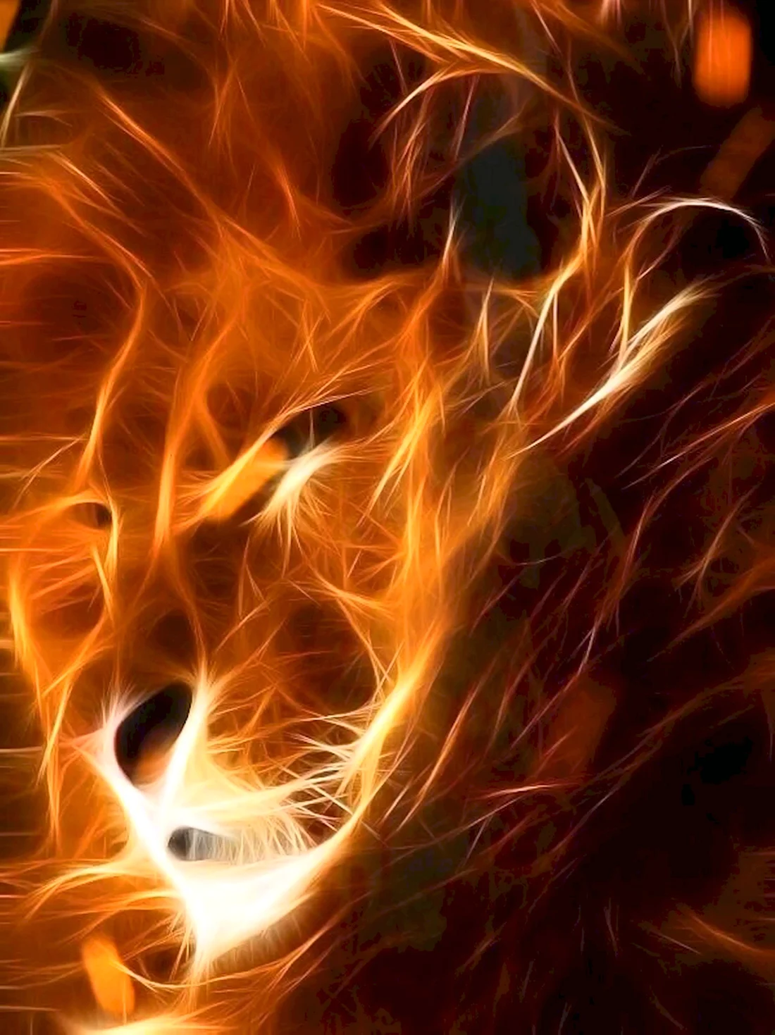 Красивый Огненный Лев