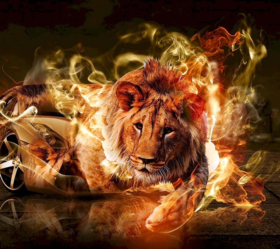 Красный Огненный тигр