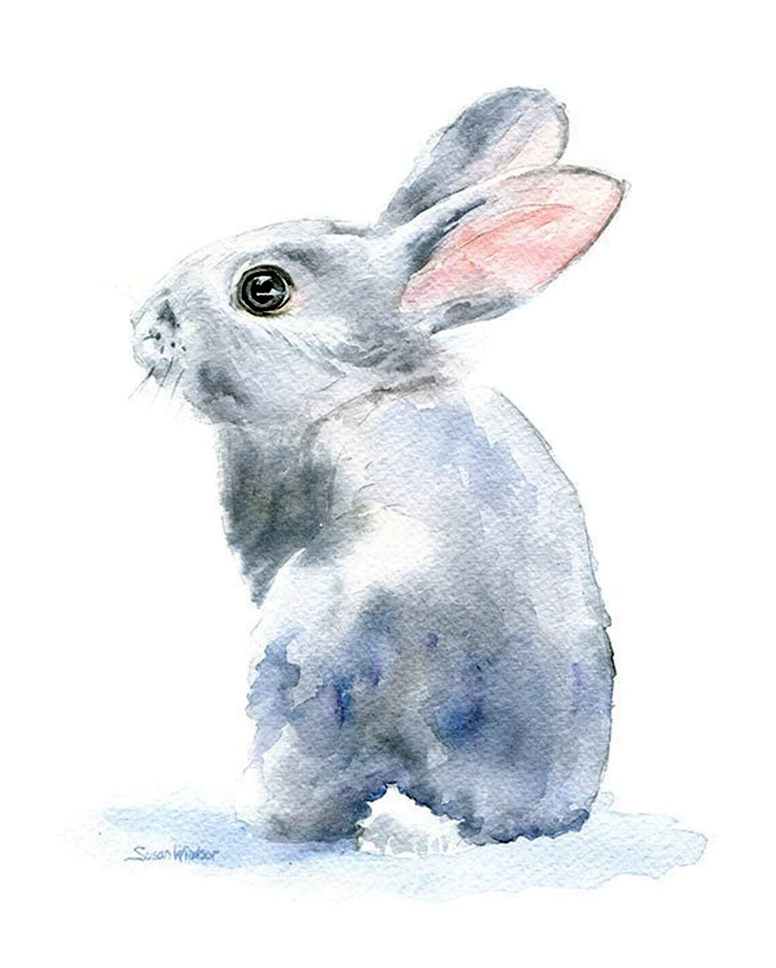 Кролик акварель