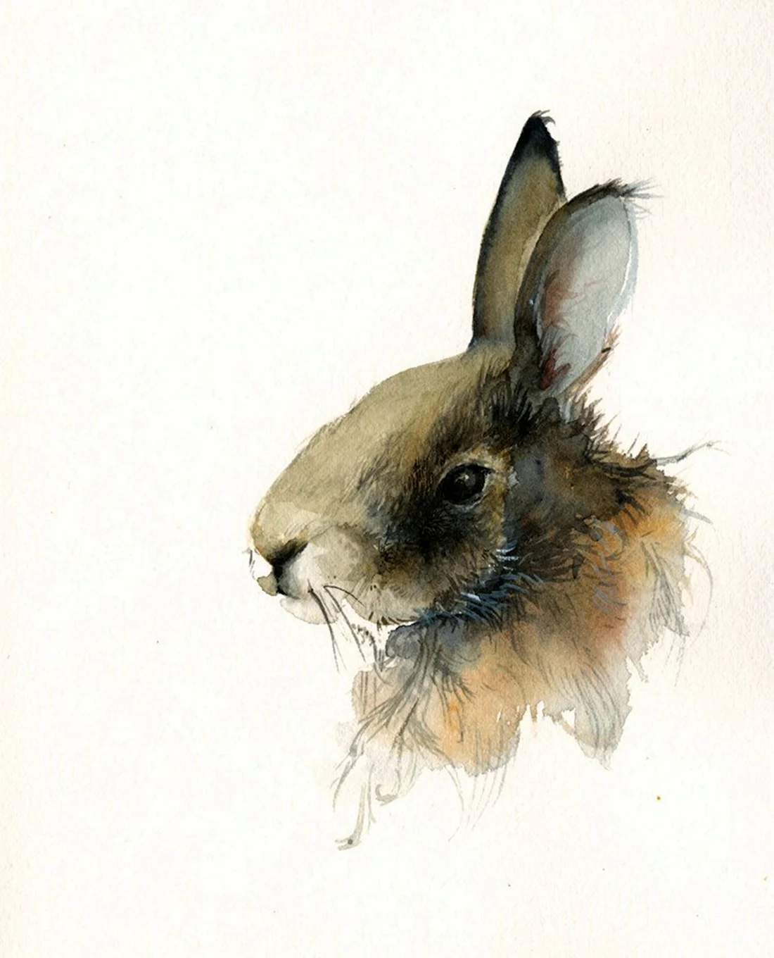 Кролик акварель