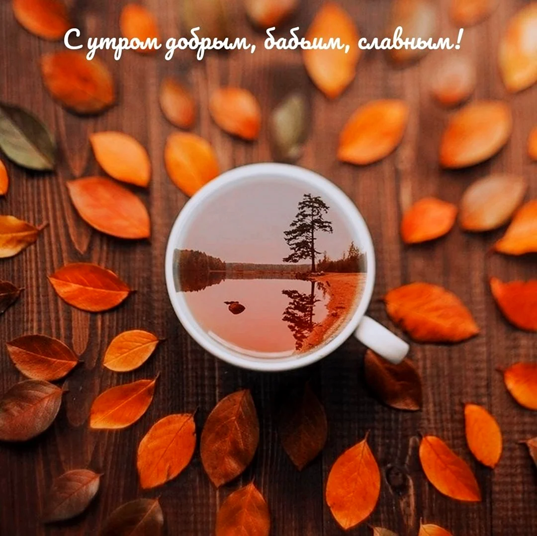 Кружка чая осень