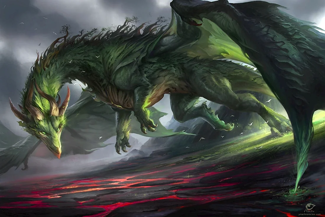 Лесной дракон Эш
