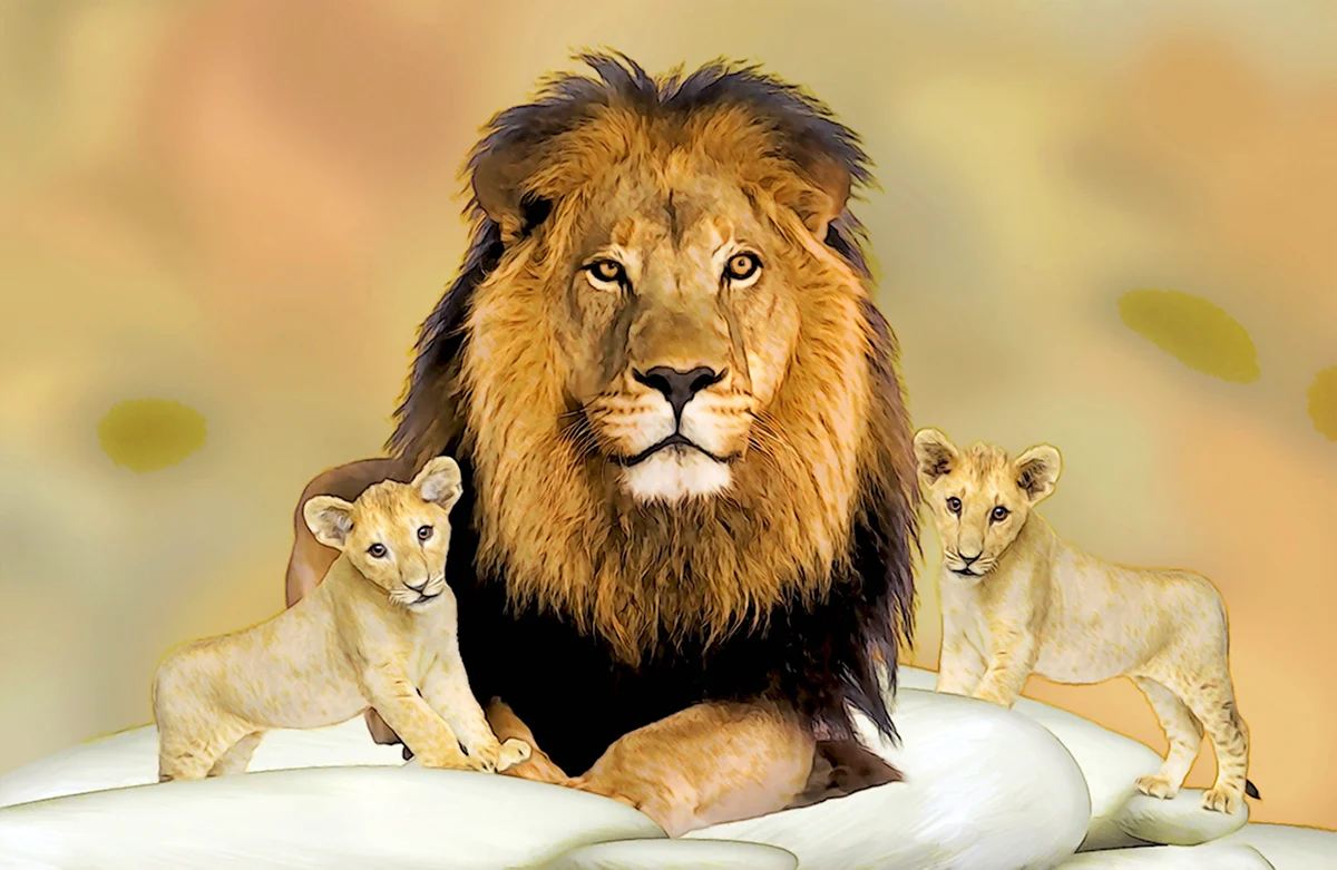Лев и 2 львенка