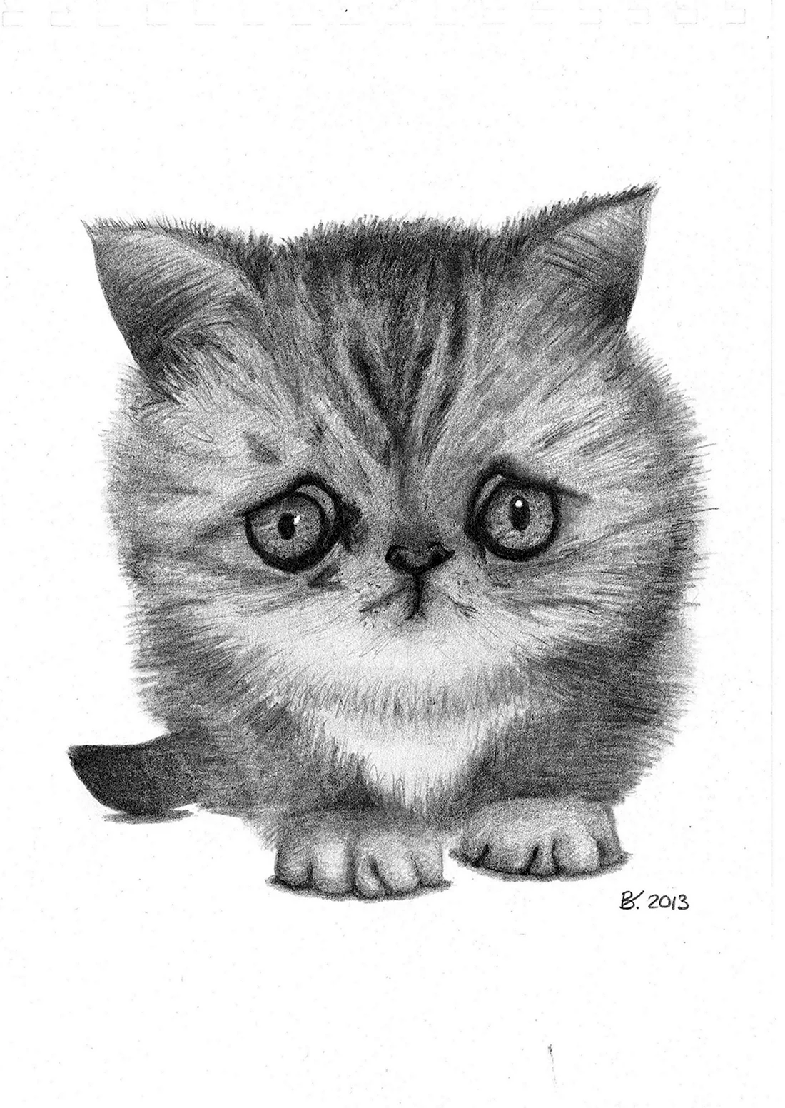 Маленький котенок рисунок