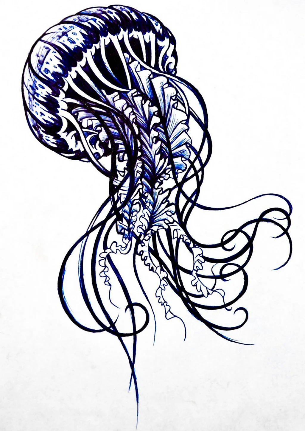 Медуза рисунок тату