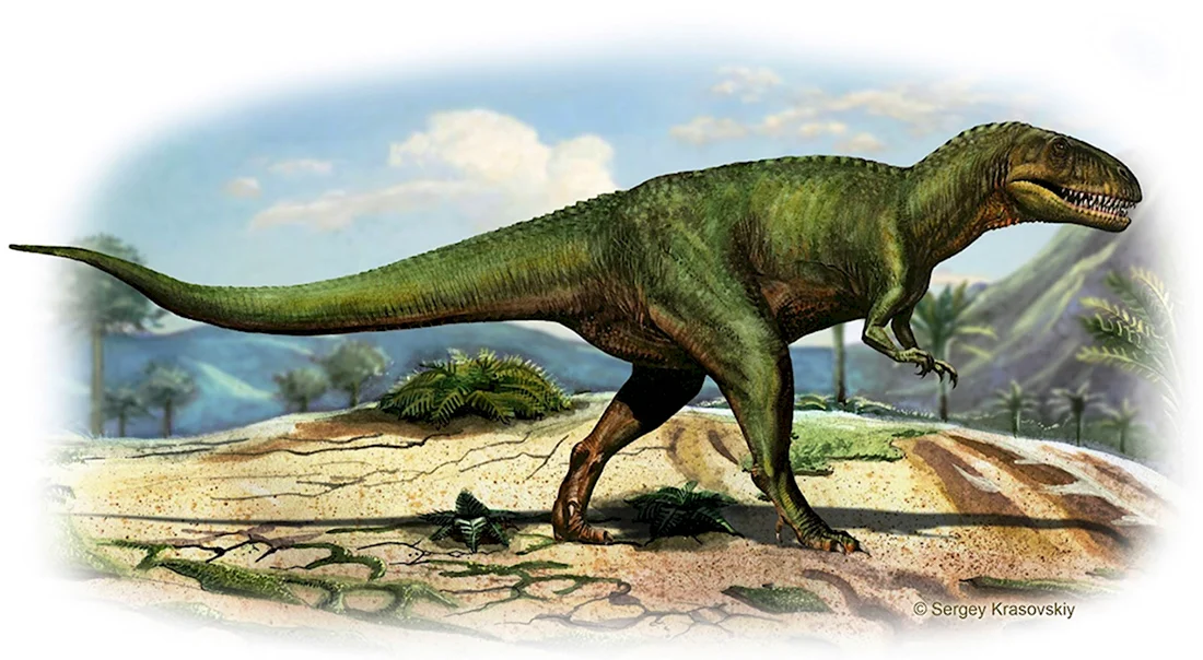 Мегалозавр динозавр