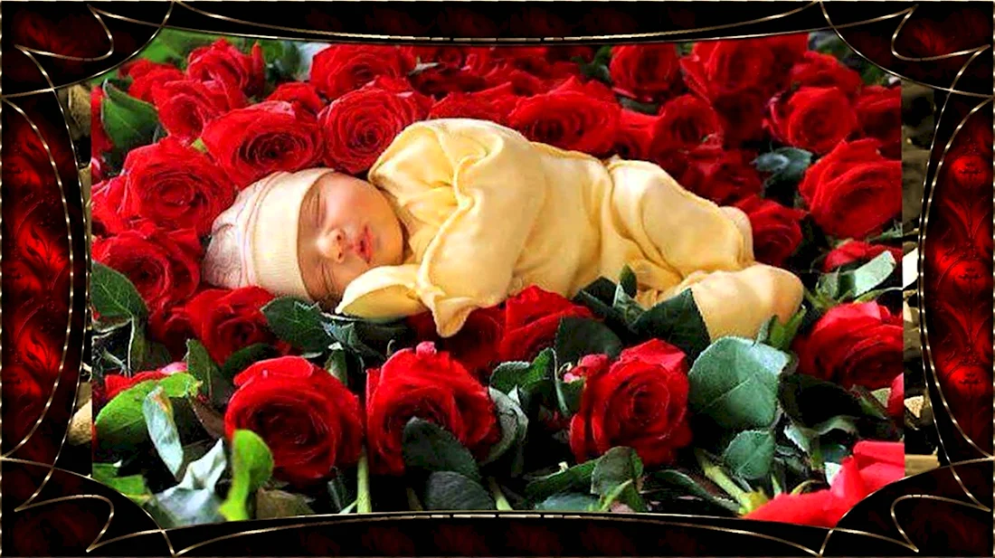 Младенец с розой