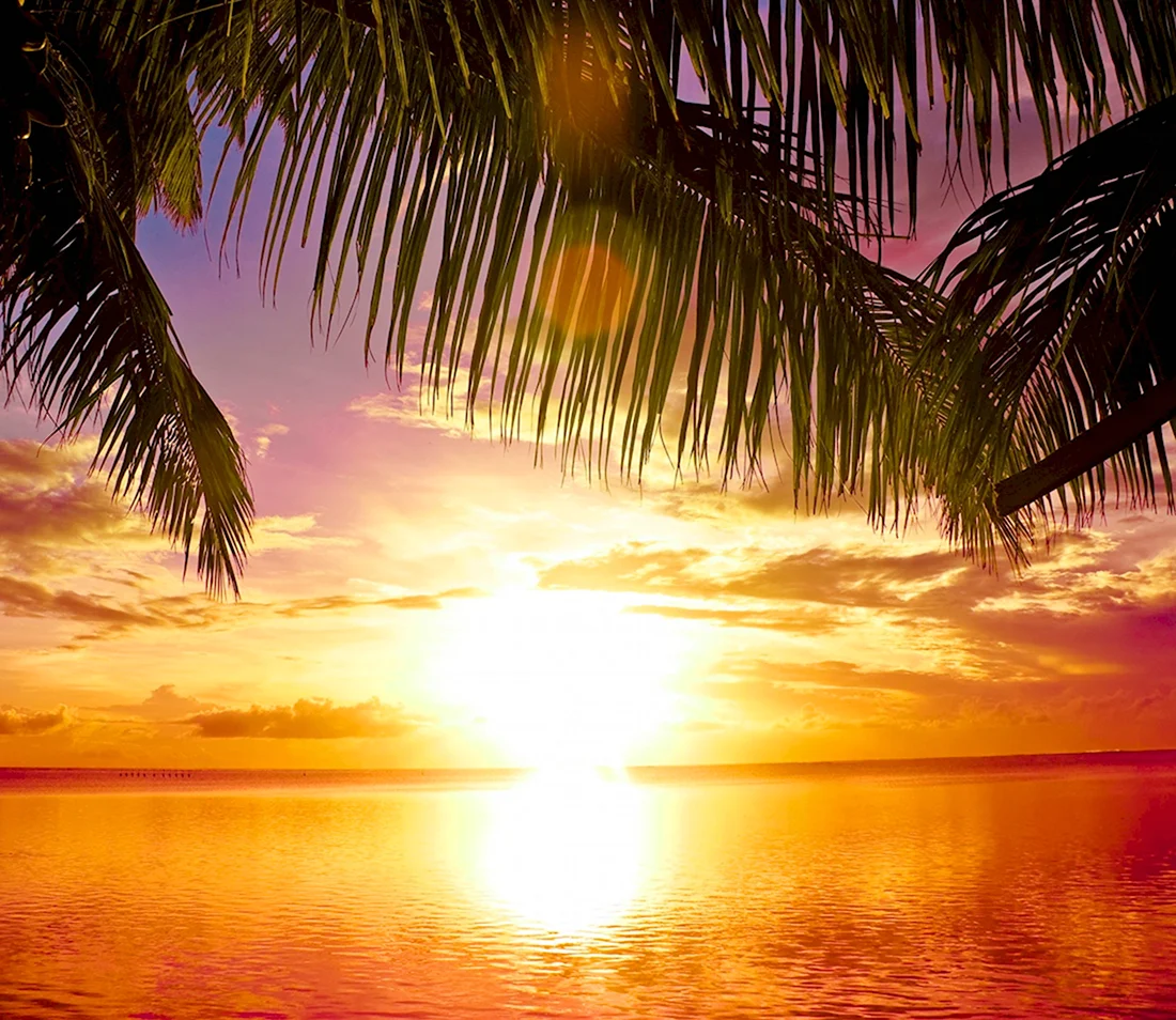 Море пляж пальмы солнце