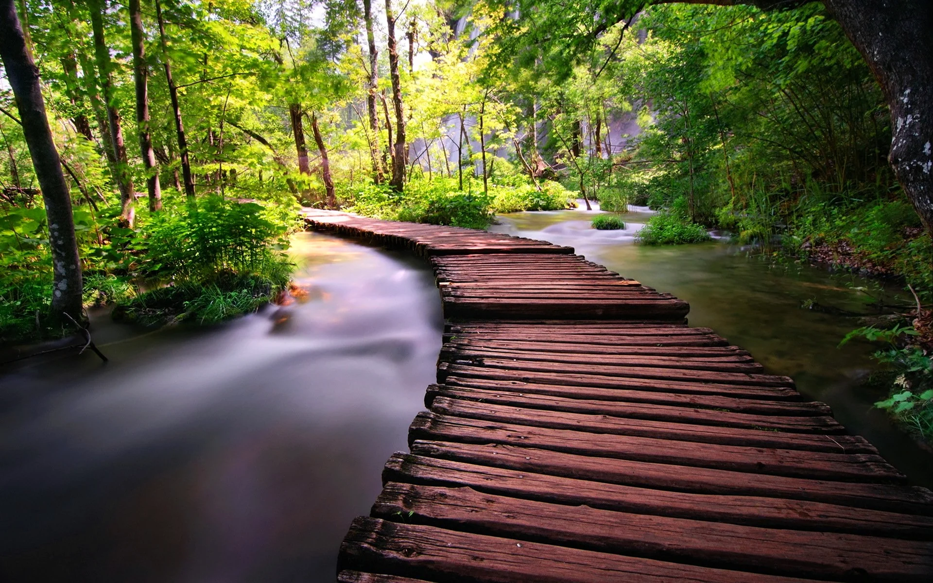 Мост река лес