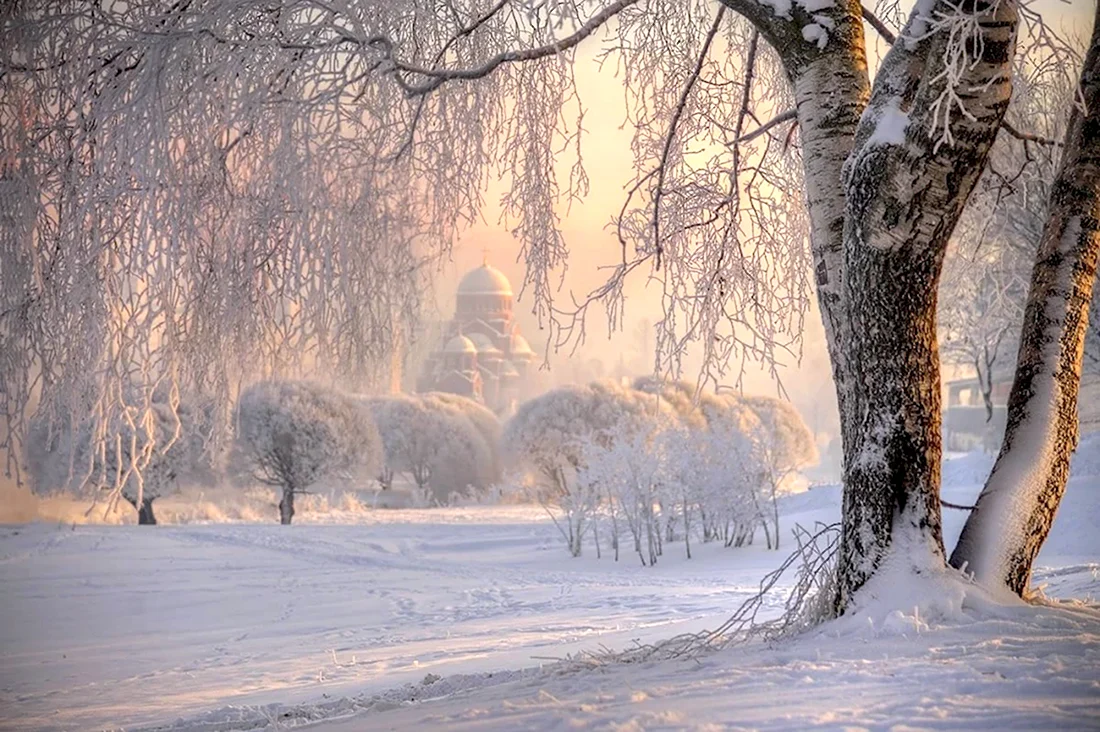 Муринский парк зимой