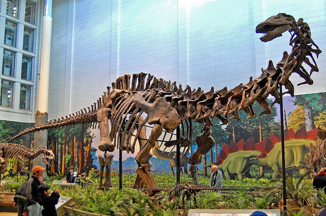 Музей динозавров Сычуань