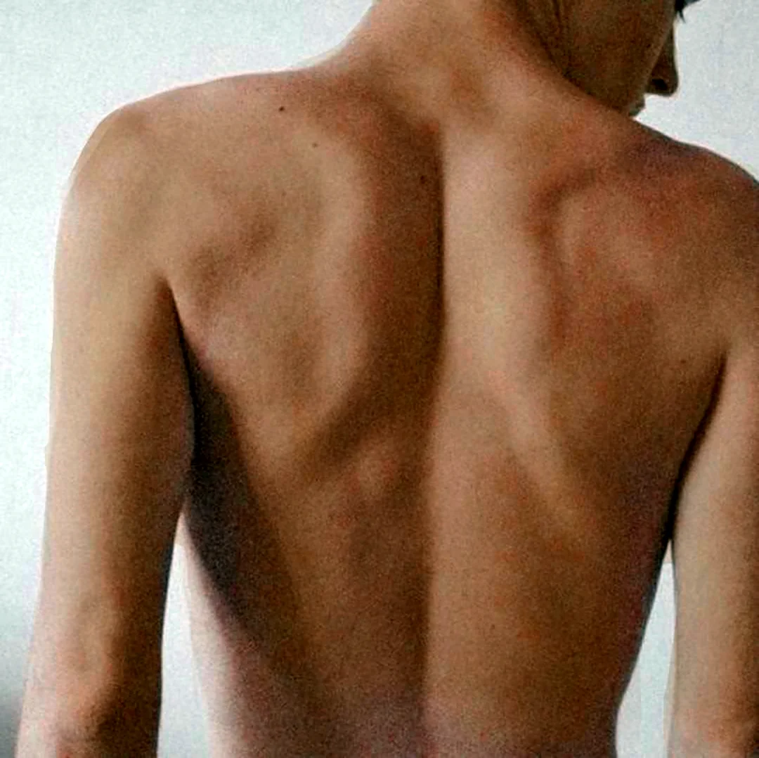 Мужская спина