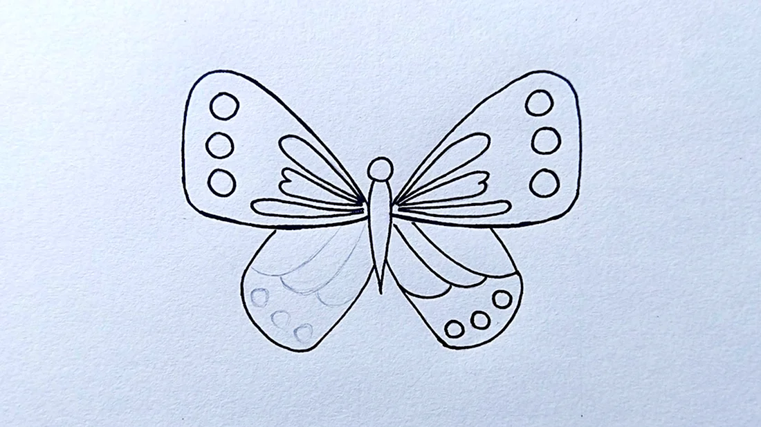 Нарисовать бабочку карандашом трафарет