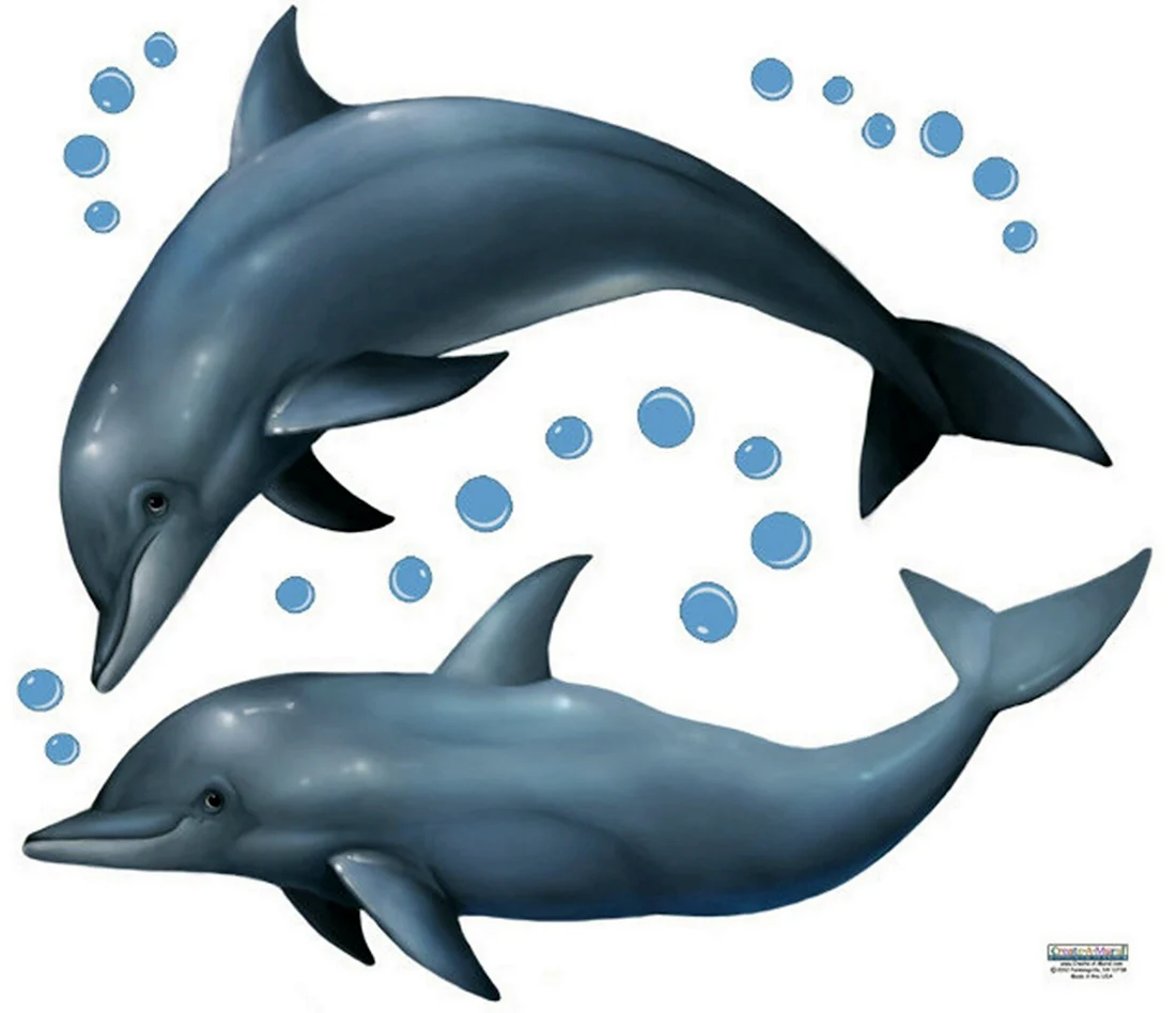Нарисовать дельфина на стене
