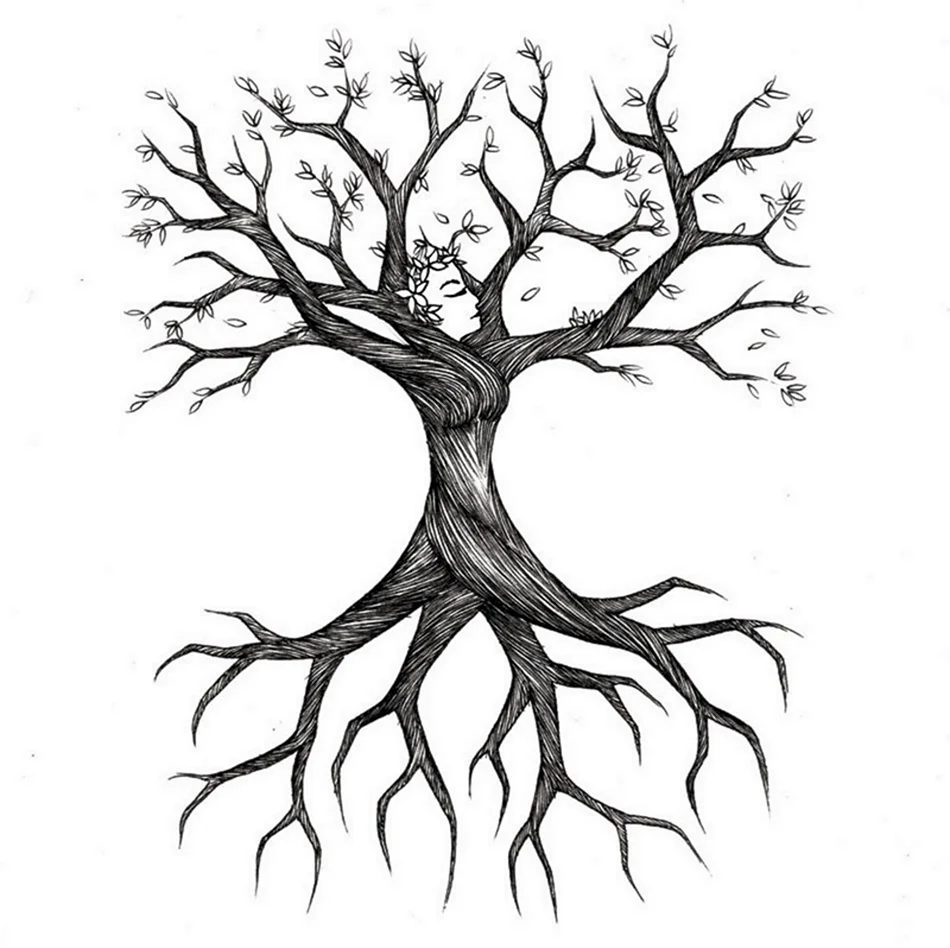 Нарисовать дерево с корнями