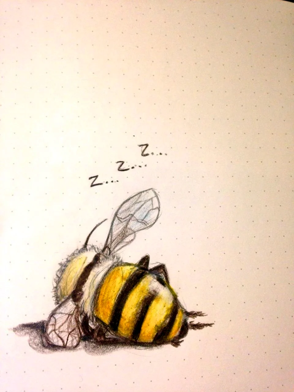 Нарисовать пчелу