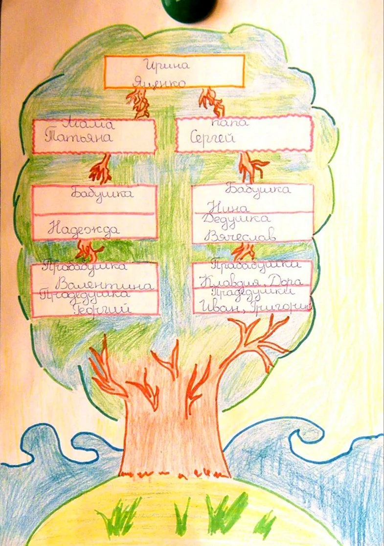 Нарисуйте родословное дерево своей семьи